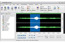 Edit Audio Visually and Precisely
